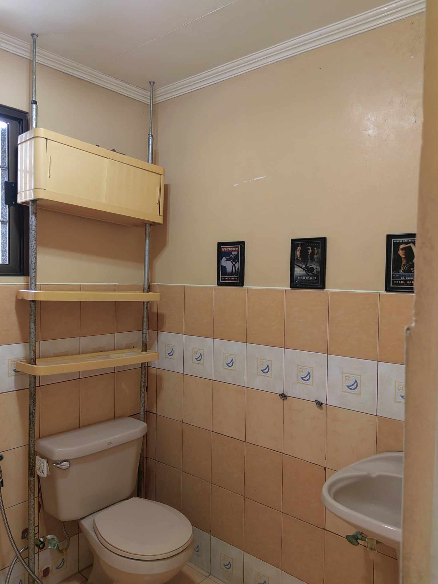 FULLY FURNISHED HOUSE & LOT, STA. ROSA, LAGUNA