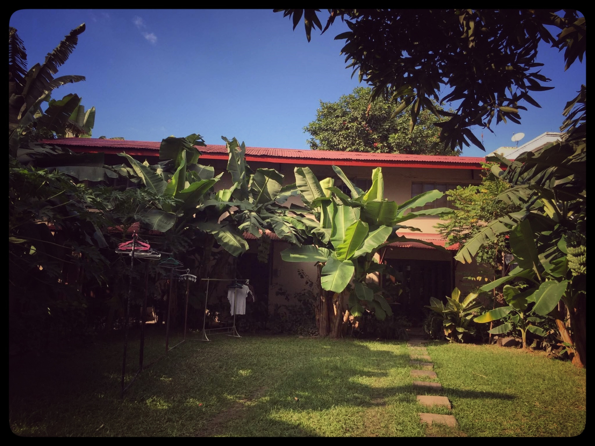 🌳 Someone spent decades building this garden. You just have to show up.