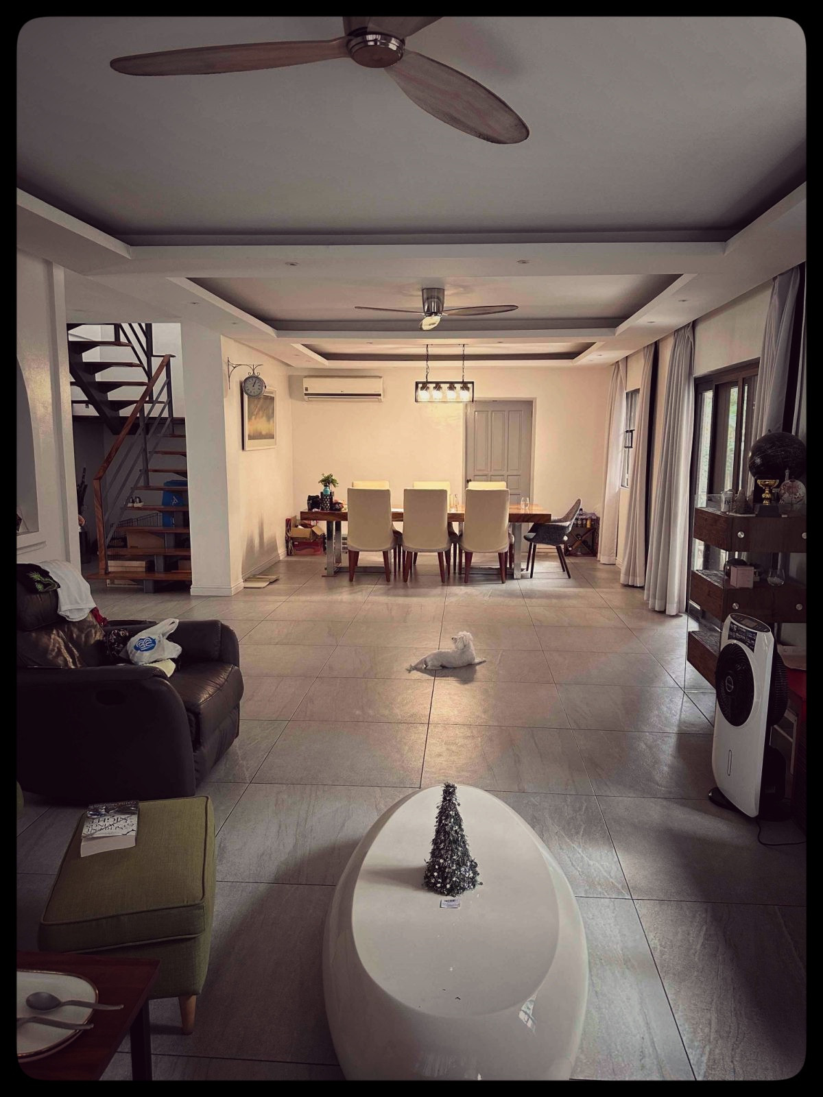 🌳 Someone spent decades building this garden. You just have to show up.