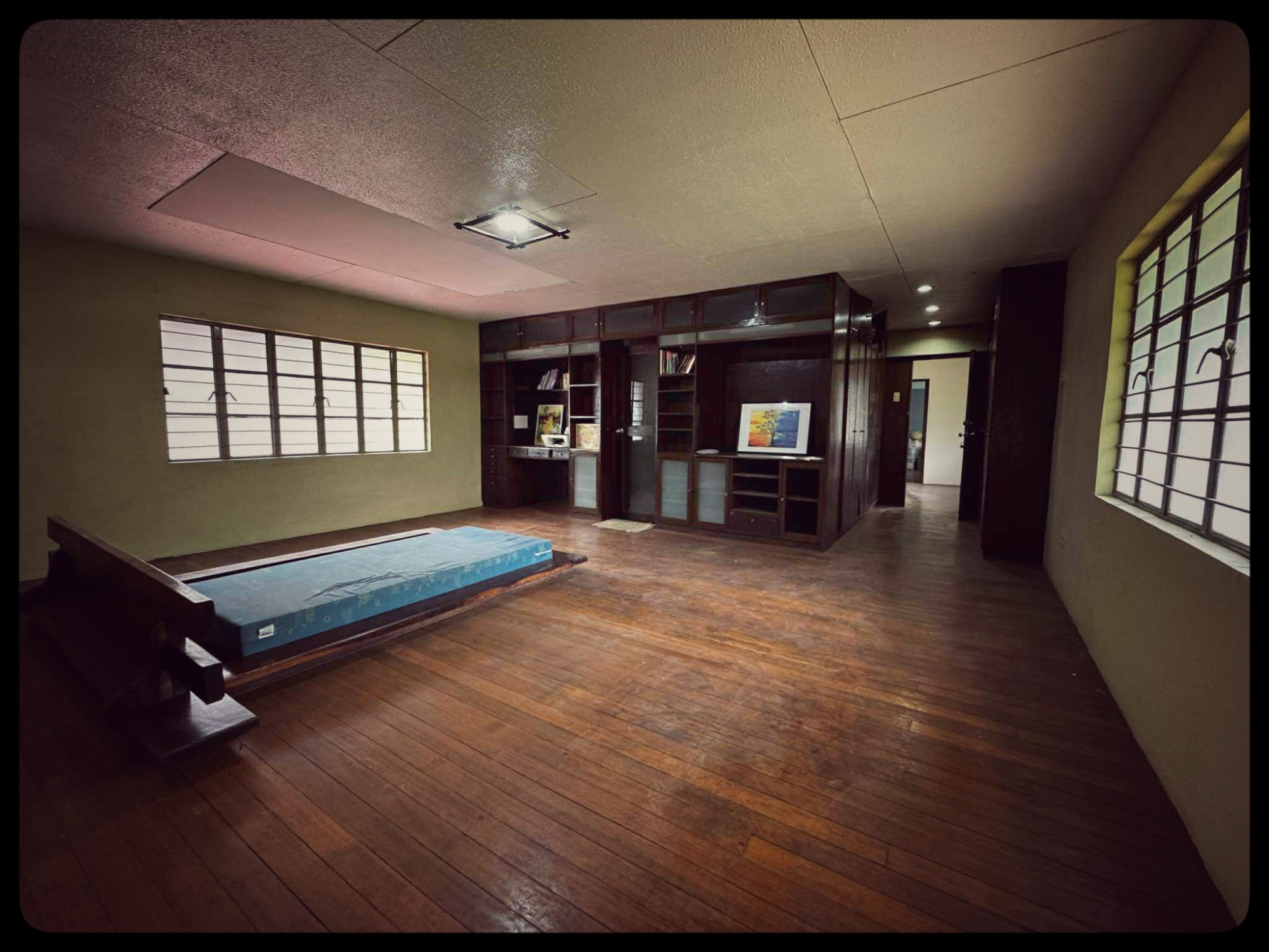 🌳 Someone spent decades building this garden. You just have to show up.