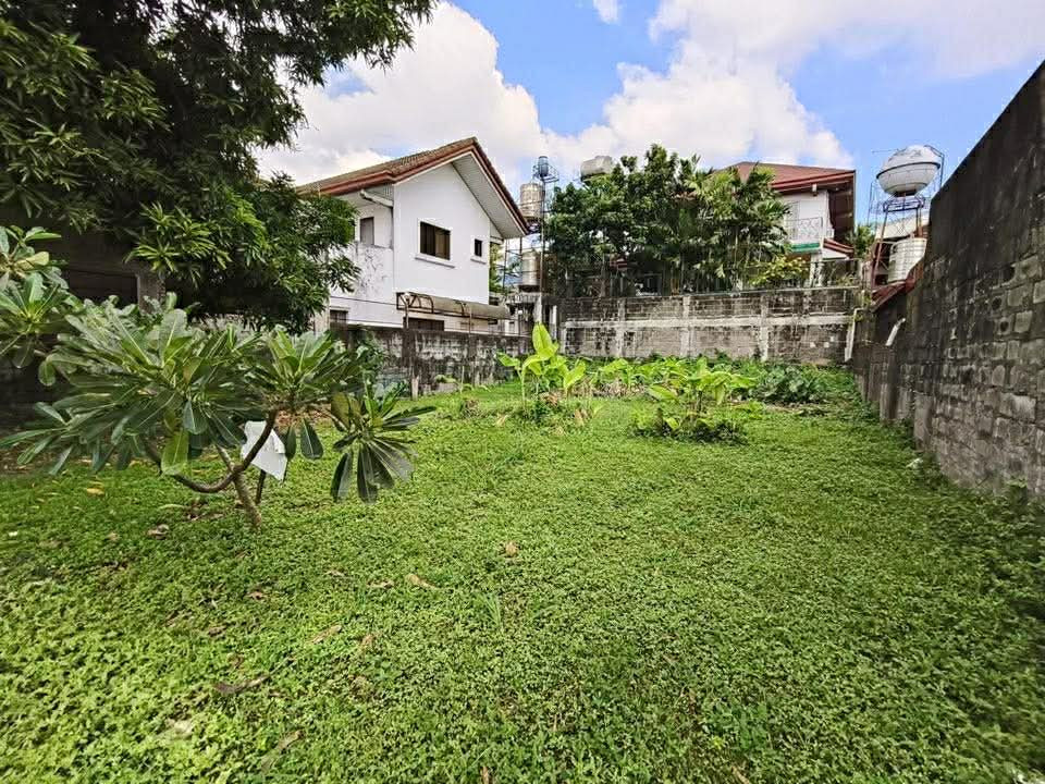 There is a version of the lot search that ends here.