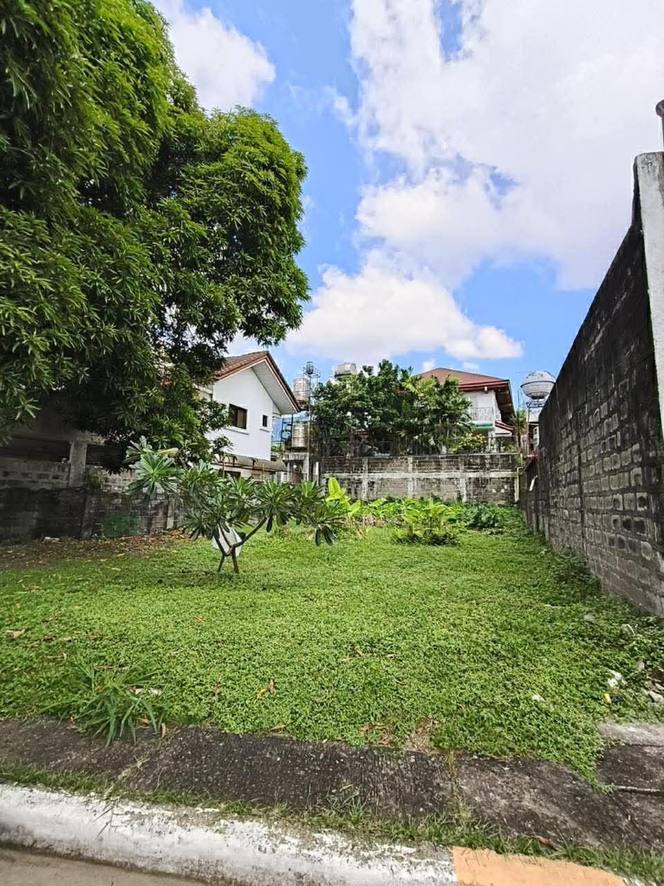 There is a version of the lot search that ends here.