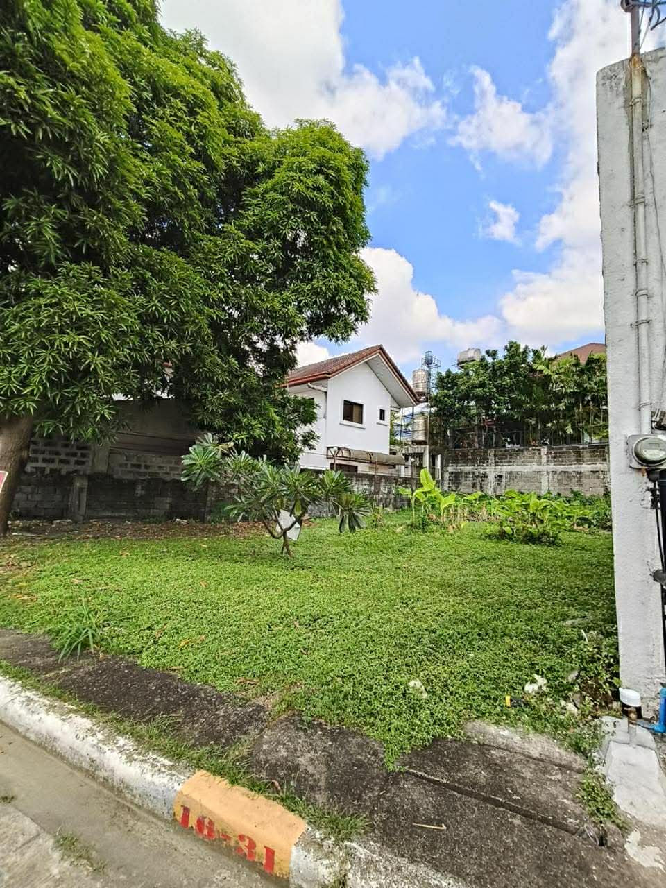 There is a version of the lot search that ends here.